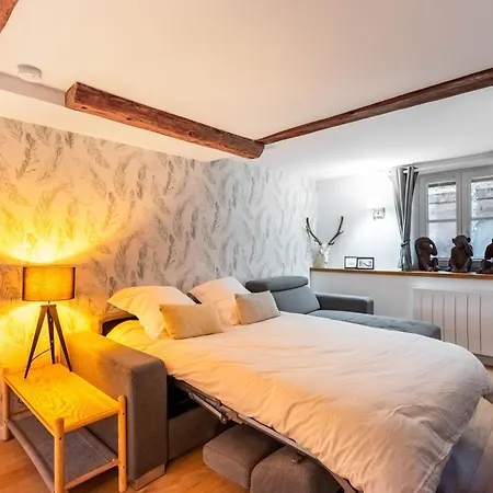 Apartment L'atelier Carriere - Place Stanislas A Vos Pieds *